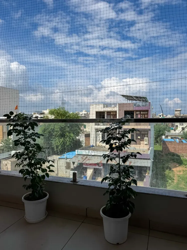 Balcony with plants overlooking Jaipur rooftops