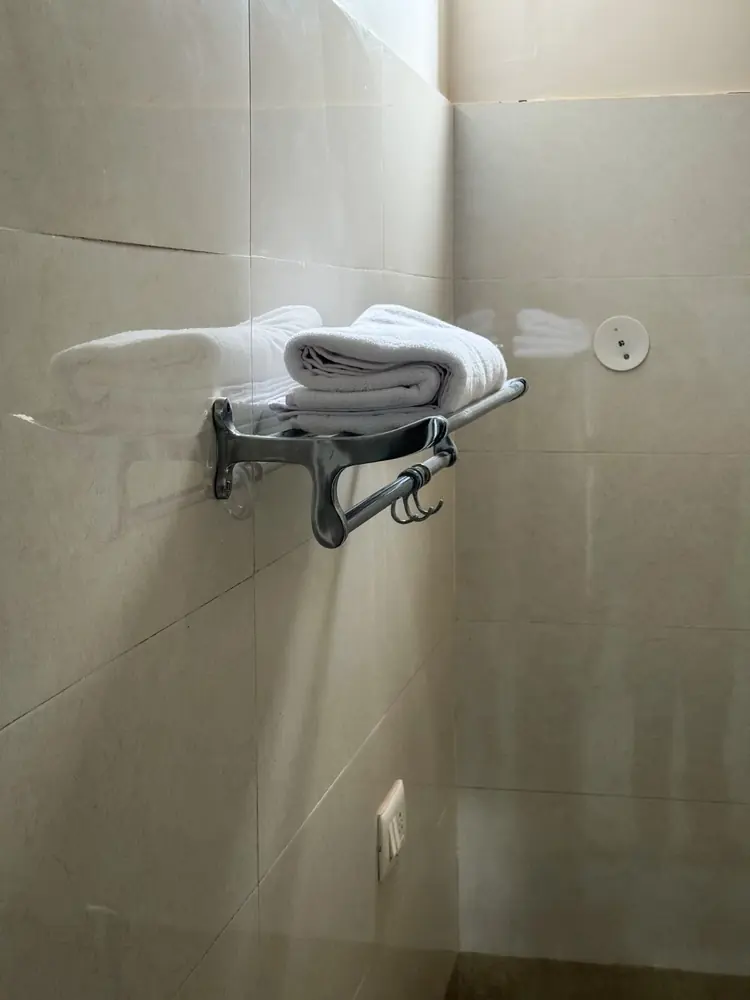 Fresh towels on the bathroom towel rack